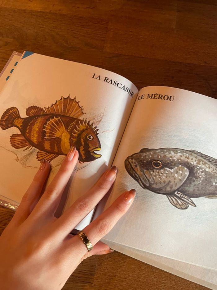 Livre Comme un grand Les oiseaux Les poissons Les chats - photo numéro 7