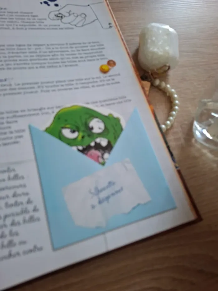 Livre pour garçon Boys book - photo numéro 6