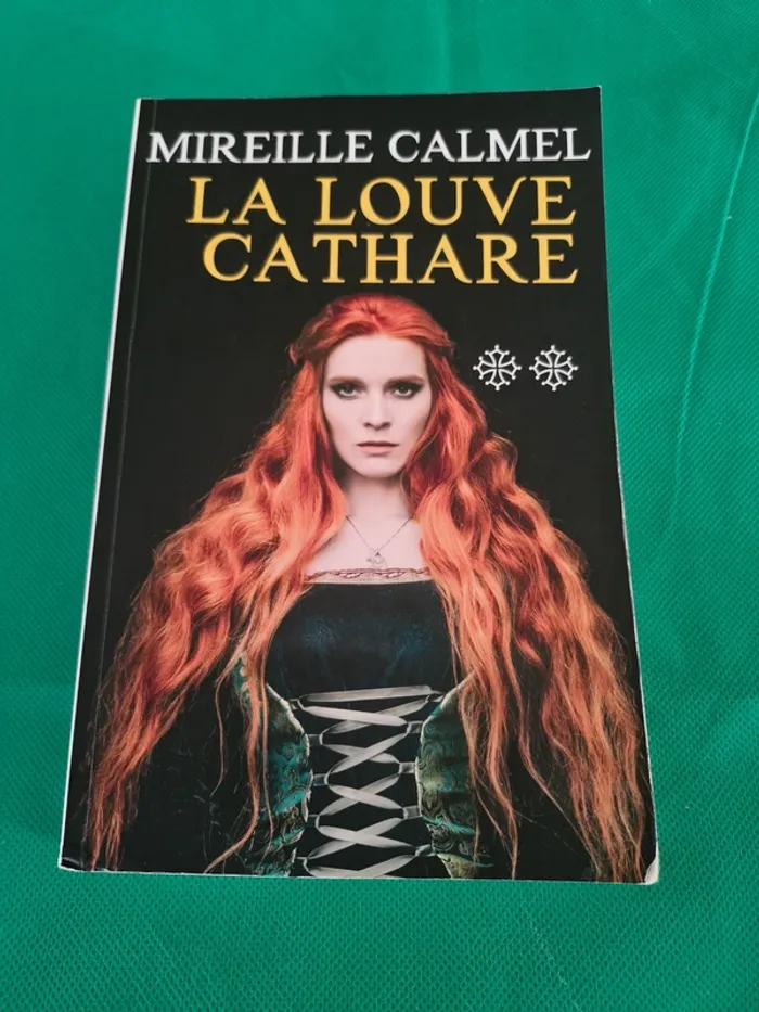 La Louve Cathare Tome 2 Mireille Calmel