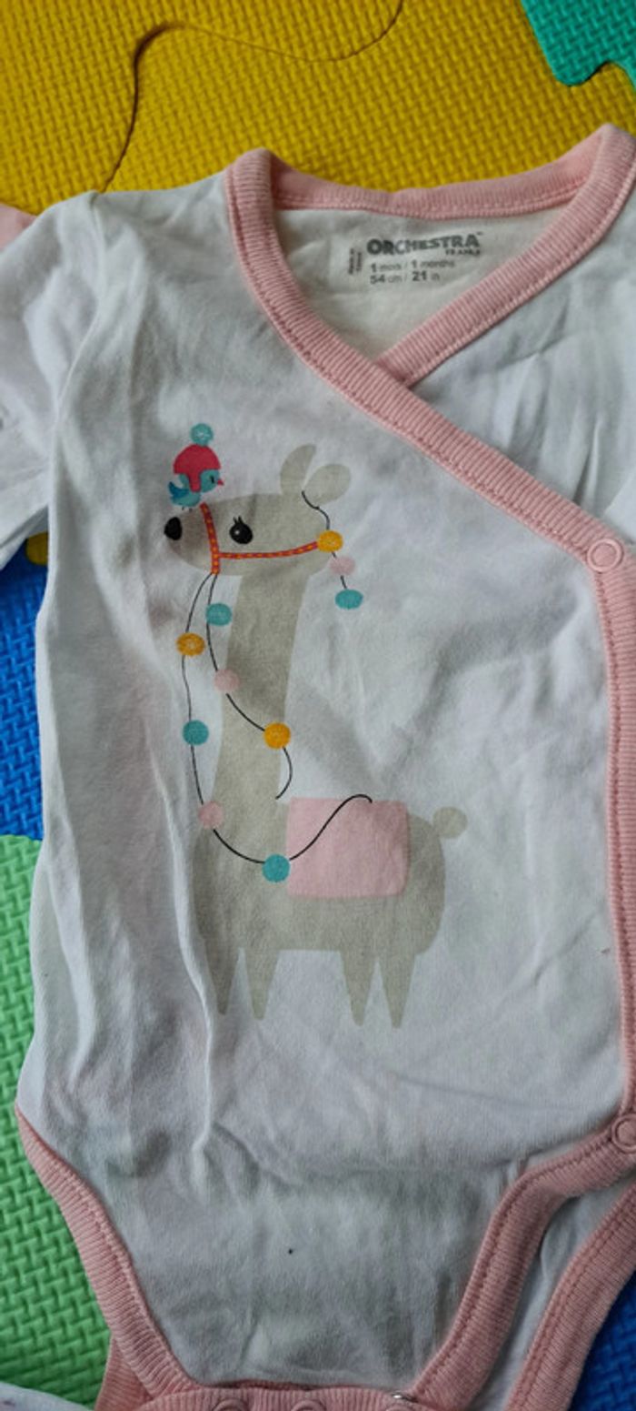 Lot de 6 bodies ML 1 mois + 1 bonnet - photo numéro 8
