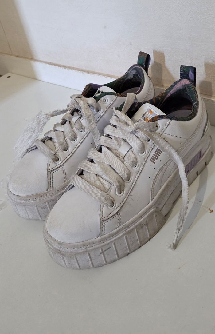 Basket puma