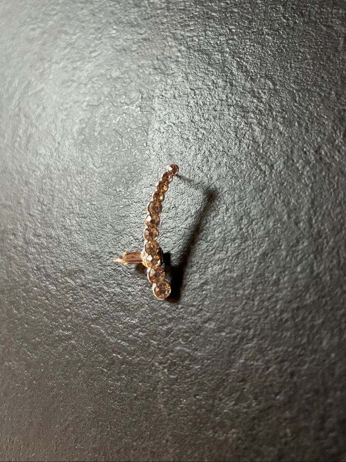 Boucle d’oreille argenté diamants