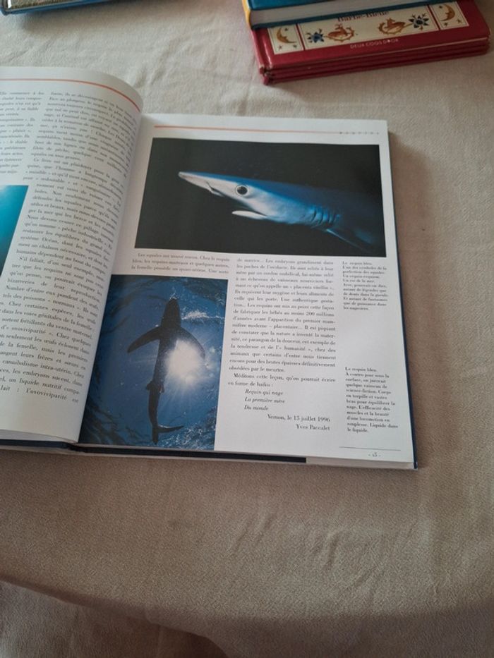 Livre requins innocents sauvages - photo numéro 4