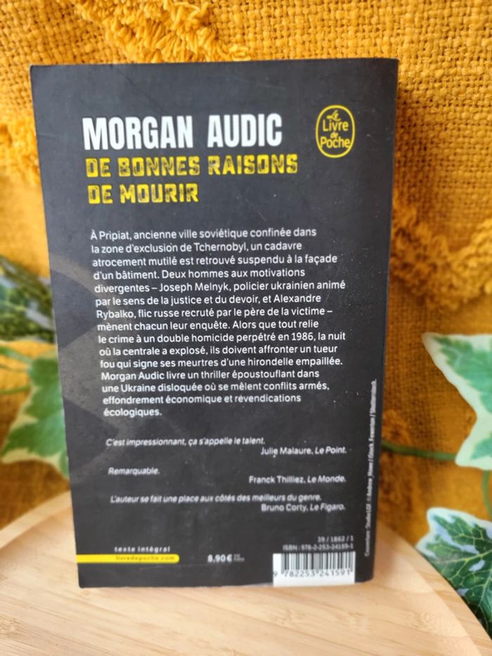 Livre "De bonnes raisons de Mourir" de Morgan Audic - photo numéro 4