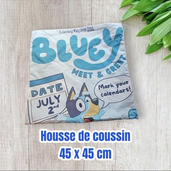 Housse de coussin bluey
