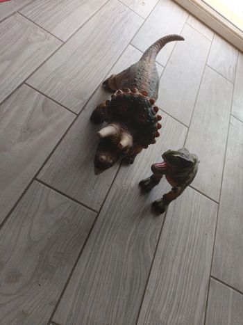 Dinosaures