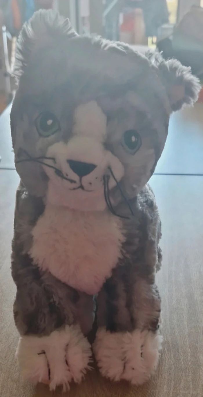 Chat neuf peluche