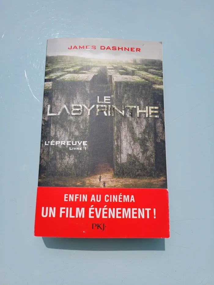 4 Premier romans grands formats de la saga Le Labyrinthe : Livres 1, 2, 3 et 4 - photo numéro 7