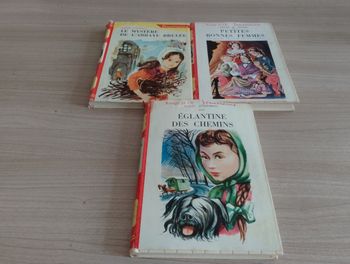 Lot de 3 livres, Divers (idéal bibliothèque)(10)