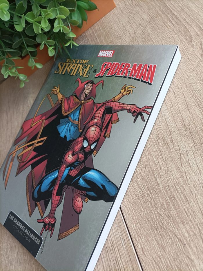 Comics Album Marvel Doctor Strange & Spider-Man Panini - photo numéro 4