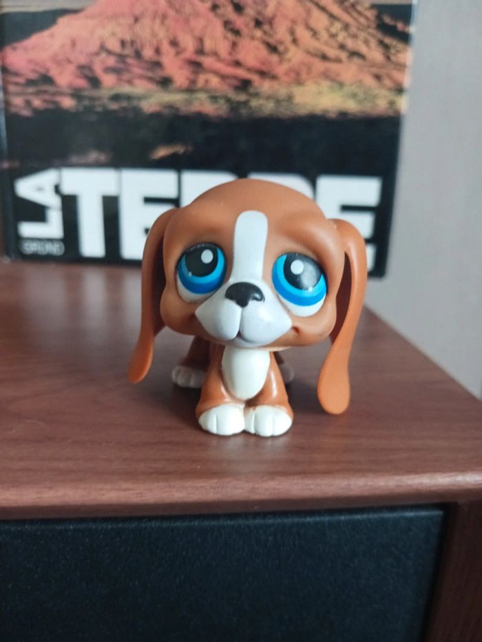 Petshop rare basset hound #222 - photo numéro 2