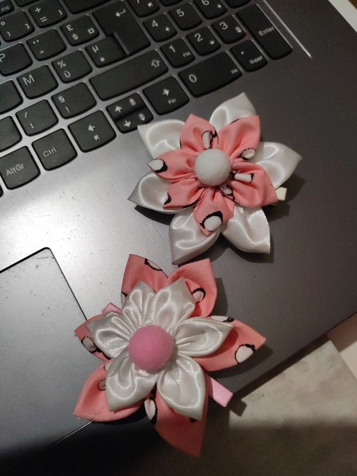 Pince cheveu - photo numéro 2