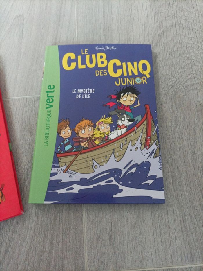 Lot de livres enfant à partir de 6 ans - photo numéro 6