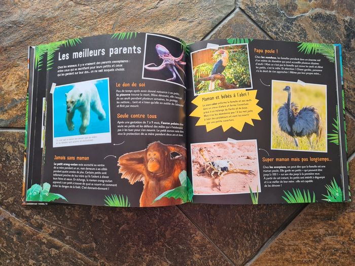 Livre animaux - photo numéro 2