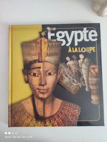 Livre l'Égypte à la loupe