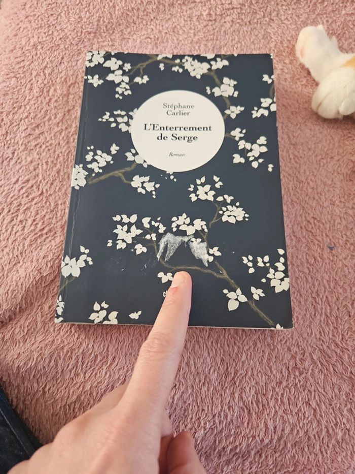 Livre - photo numéro 10