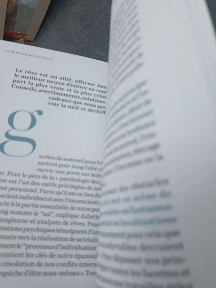 Le petit guide pour comprendre ses rêves - photo numéro 4