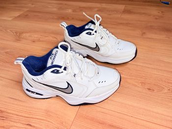 Baskets Air Monarch