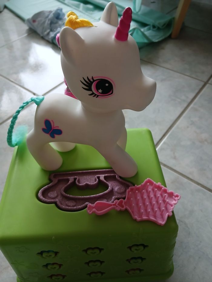 Poneys et caisse de transport - photo numéro 4