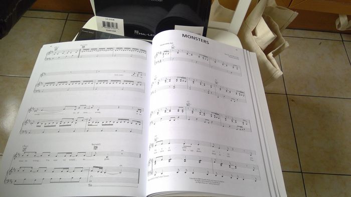 15€ Twilight saga piano, voix, guitare - photo numéro 3