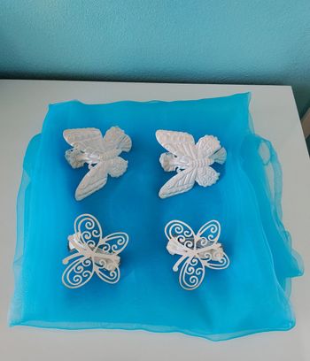 Rideau et pince embrasses