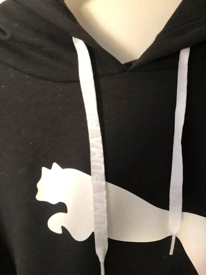 Sweat à capuche Puma - photo numéro 2