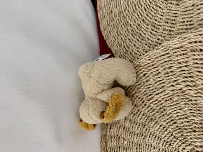 Petit Doudou chien beige CP - photo numéro 3