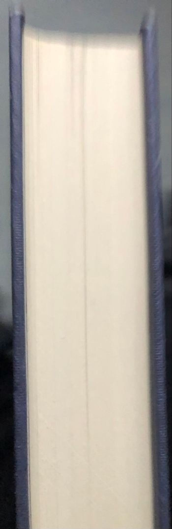 Jane Eyre de Charlotte Brontë - photo numéro 6