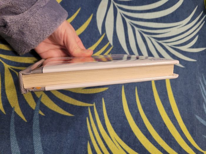 Livre p'tit mickey pilote d'avion disney - photo numéro 7