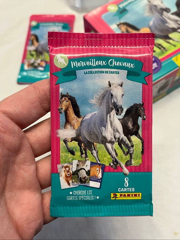 Kit panini Cartes à collectionner Merveilleux Chevaux - photo numéro 9