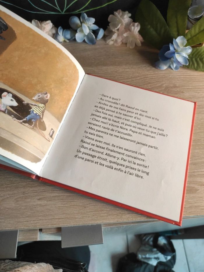 Nora petit rat de l’Opéra – Drôles de Petites Bêtes – Gallimard Jeunesse - photo numéro 5