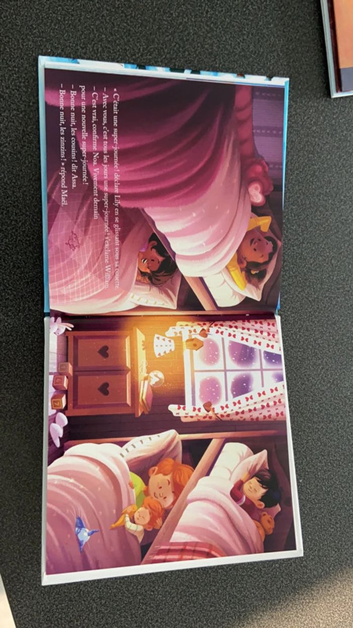 Le Husky du Mont Blanc - photo numéro 3