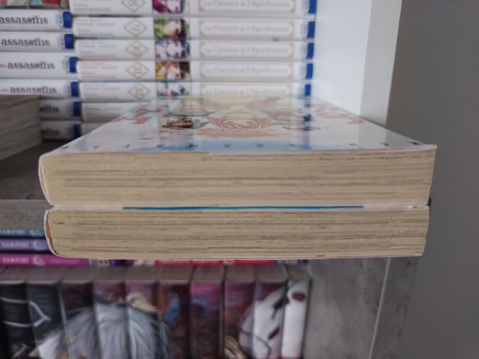 Manga Love Hina 1 et 2 - photo numéro 2