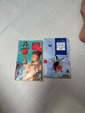 Livre Mathilde, la sorcière et le cochon au volant blanche, Neige, les sept géants
