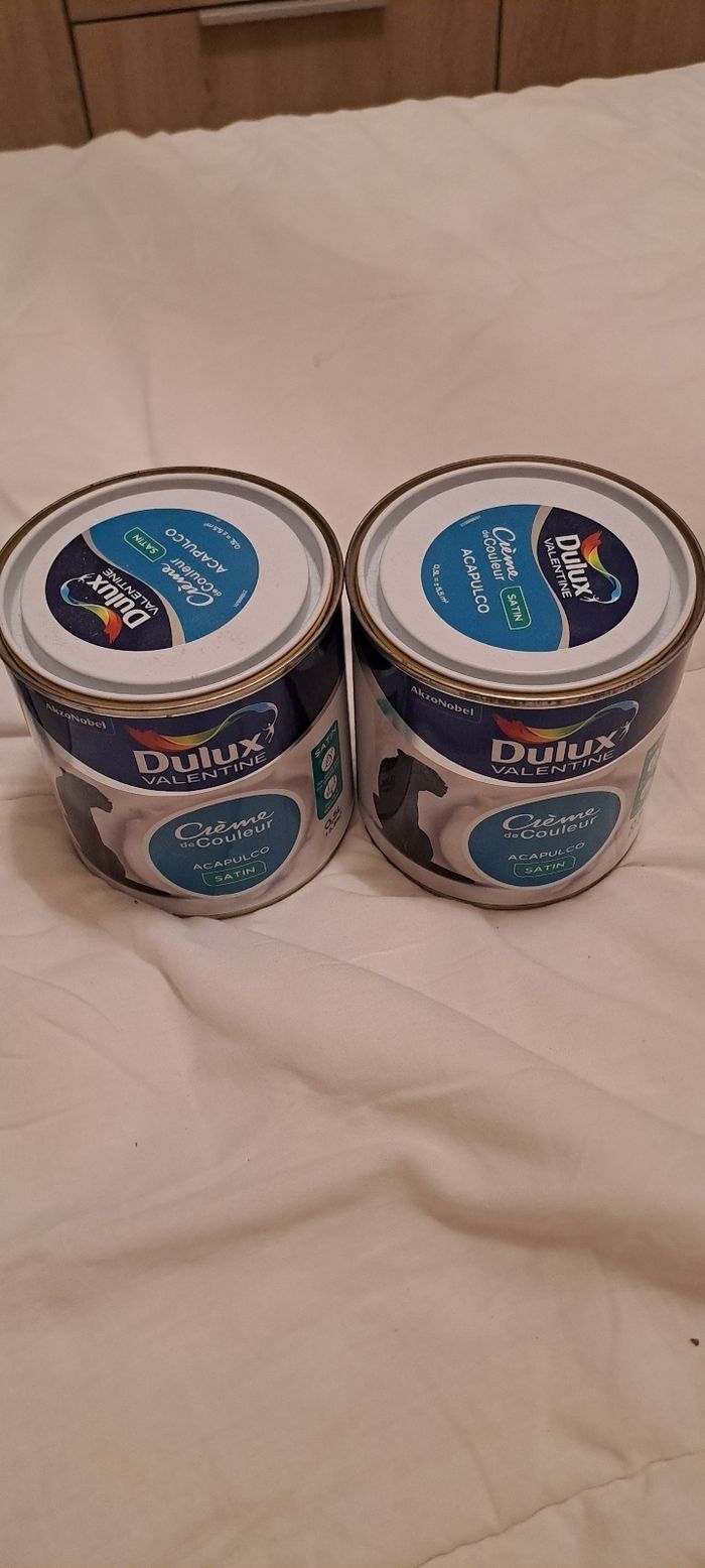 Peinture - photo numéro 2