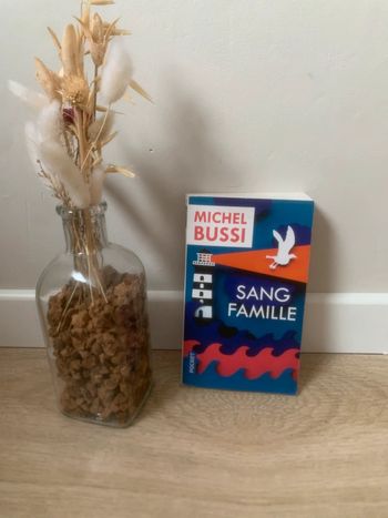 • Livre « Sang famille » de Michel Bussi
