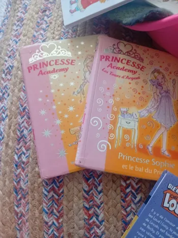 2 livres Princesse Academy