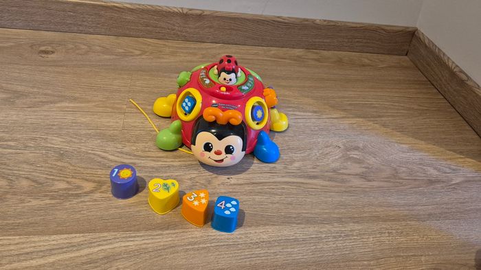 Super coccinelle des formes - photo numéro 3