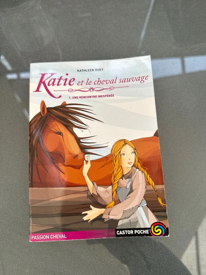 Katie et le cheval sauvage Kathleen Duey