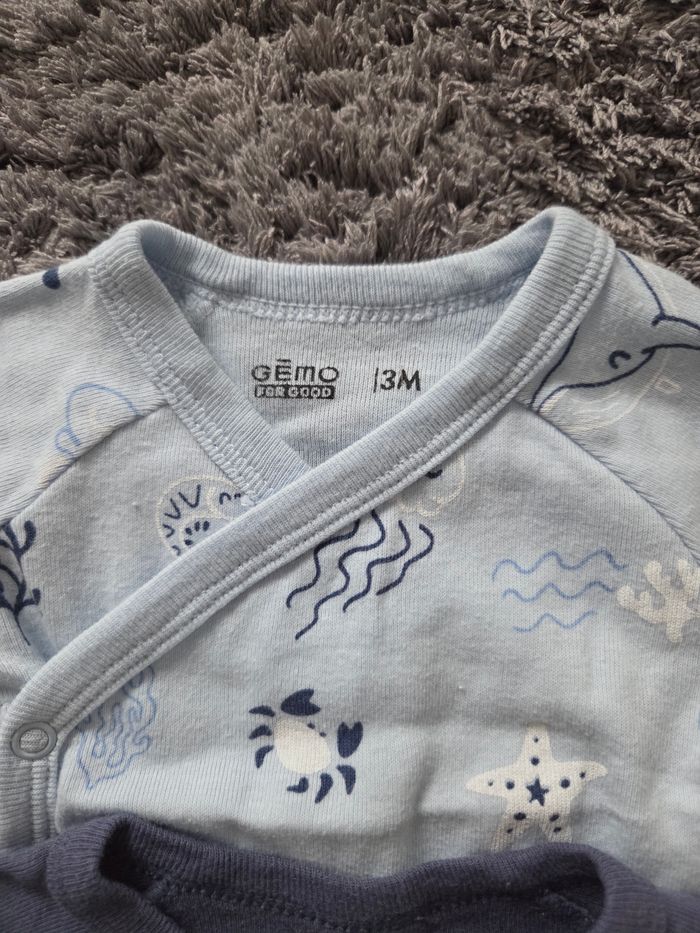 Lot de 3 bodies à manches courtes - photo numéro 3