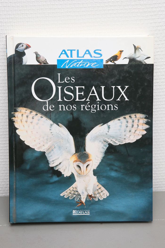 Les oiseaux de nos régions