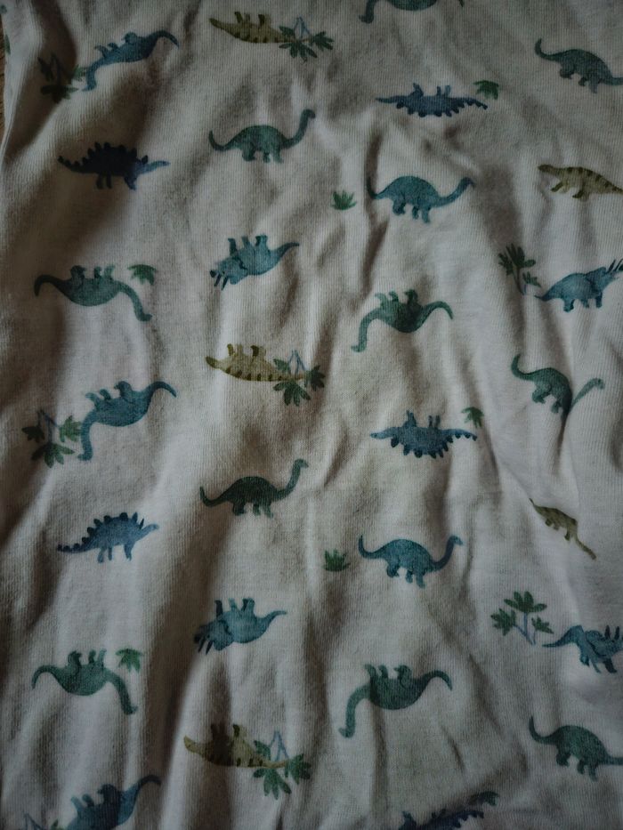 Pyjama petit bateau dino 3 mois - photo numéro 2