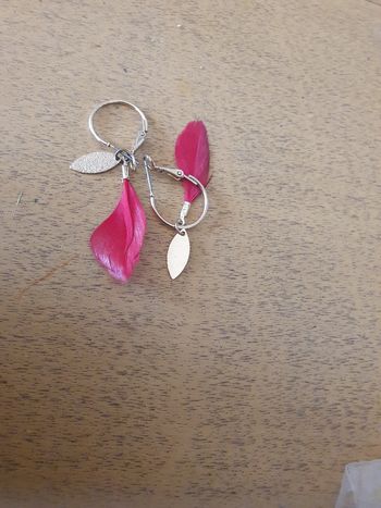 Boucles d'oreilles