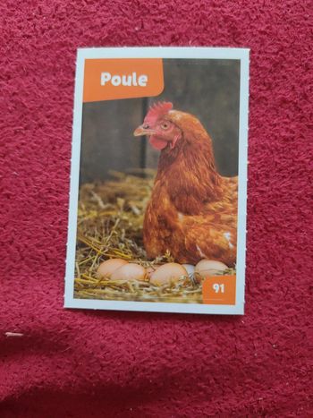 Autocollant nos amies les bêtes