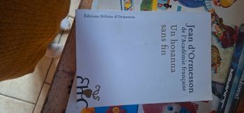 Livre un hosanna sans fin