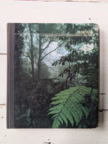 Bornéo, les grandes étendues sauvages