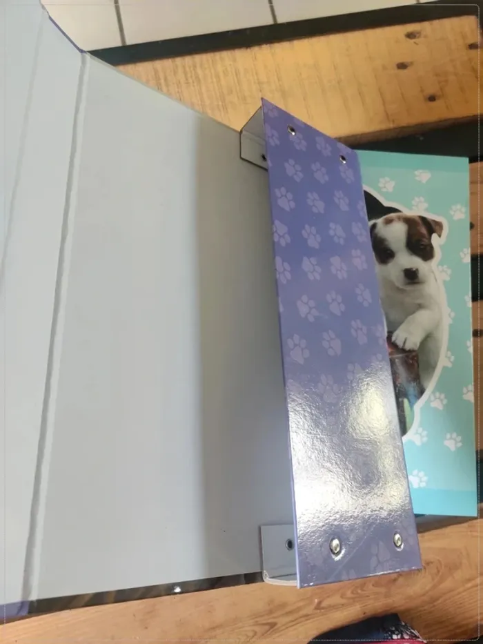 Lot de 2 chemises de classement chat et chien - photo numéro 5