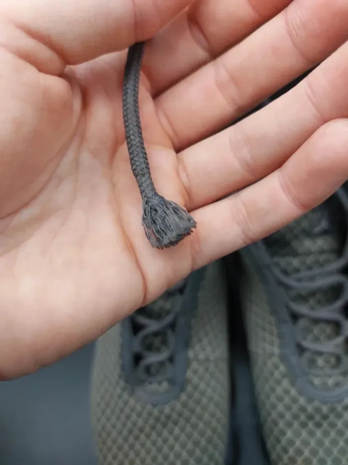 Nike Air Jordan Horizon Wolf - photo numéro 2