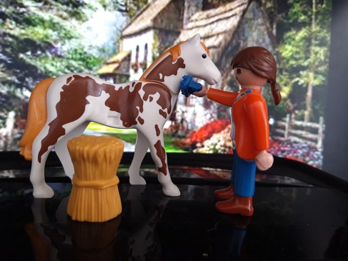 Playmobil Equitation 4190 Personnage et son cheval du centre équestre 2007