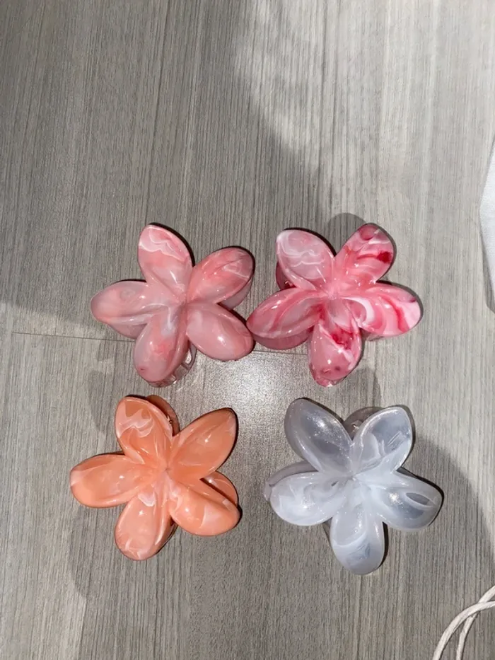 Lot de 4 pinces pour cheveux